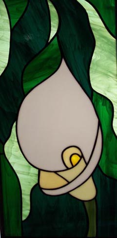 Calla lily #1